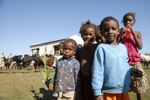 Enfants de Manakara devant l'abattoir