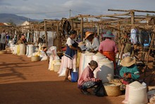 Marché d'Ambalavao, alignement de sacs de riz, Province de Fianarantsoa