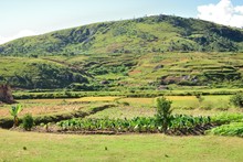 Paysage jardins, rizières et rizières en terrasses, Région Tananarive