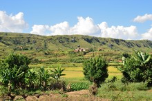 Paysage jardins, rizières et rizières en terrasses, Région Tananarive