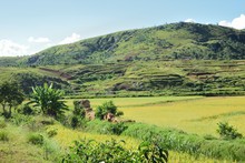 Paysage rizières et rizières en terrasses, Région Tananarive