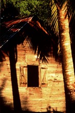 ombre et lumière sur case et palmier, province de Diégo-Suarez (Antsiranana)