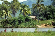 Fleuve Mananara, Province de Tamatava (Taomasina)