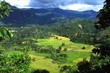 Plateau d'Andapa et ses rizières, Province de Diégo-Suarez (Antsiranana)
