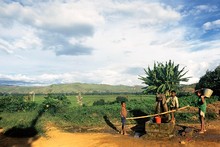 Corvée d'eau et rizières Ambatondrazaka, Province de Tamatava (Taomasina)