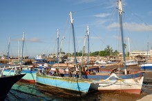 Boutres et bateaux à voiles dans le port de Majunga