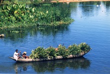 Transport par pirogue à Maroantsetra, Province de Tamatava (Taomasina)