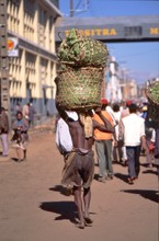 Transport à tête d'homme, Province de Tananarive (Antananarivo)