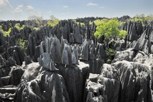 Grand Tsingy du Bemaraha, Province de Majunga (Mahajunga)