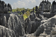 Grand Tsingy du Bemaraha, Province de Majunga (Mahajunga)