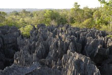 Petit Tsingy du Bemaraha, Province de Majunga (Mahajunga)